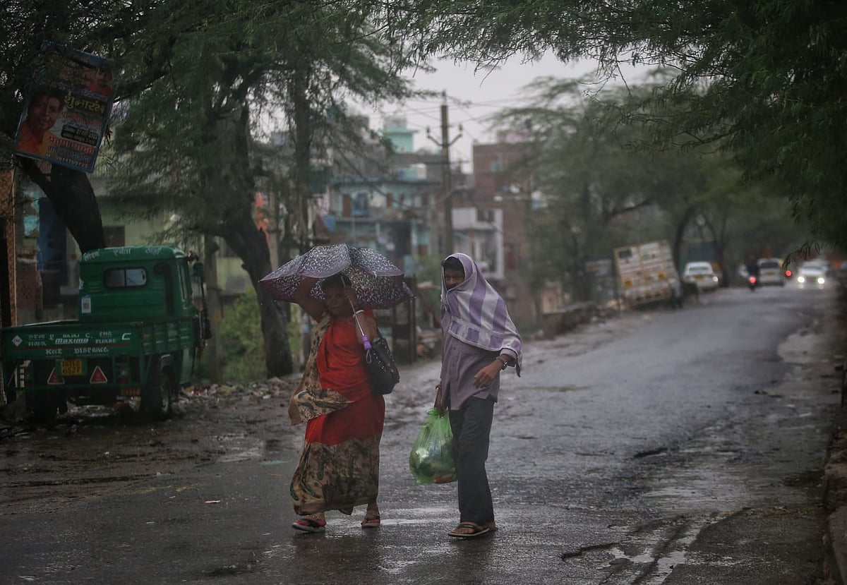 फोटो: विपिन