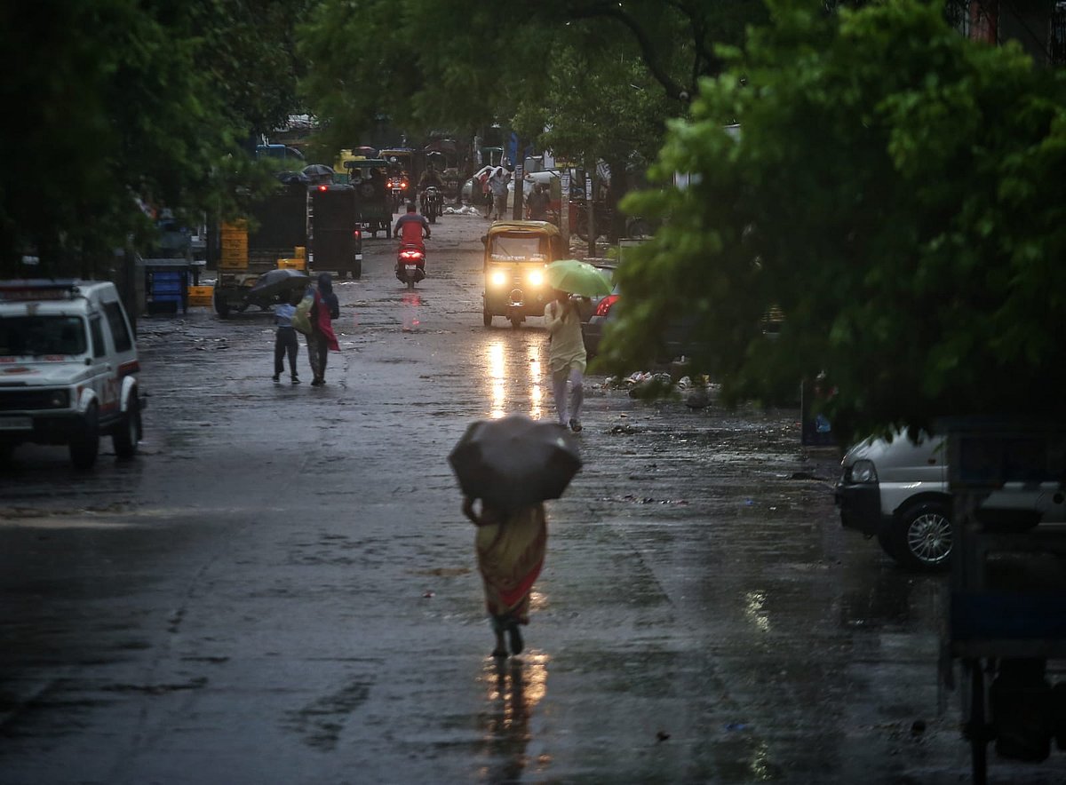 फोटो: विपिन