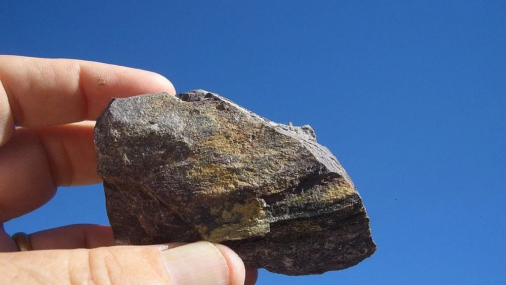 फोटोः IANS