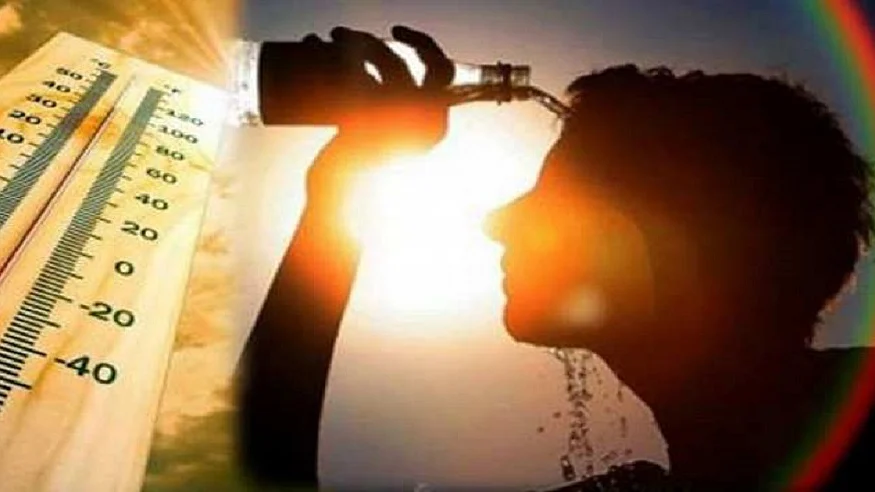 फोटो: सोशल मीडिया