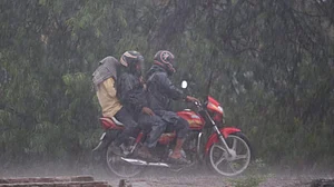 फोटो: विपिन