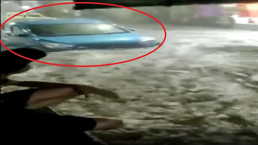 फोटो: सोशल मीडिया