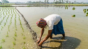देश में फिर बढ़ी बेरोजगारी दर, जून में पहुंची 7.8 फीसदी, औसत से कम बारिश होने के चलते गांवों में हालात ज्यादा खराब