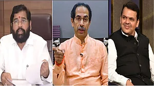 मृणाल पाण्डे का लेखः सामंती युग के भाट-चारण-विदूषक ही आज राजकीय प्रवक्ता बने, ‘जस दुलहा तस सजई बराता'