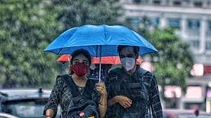 फोटो: विपिन