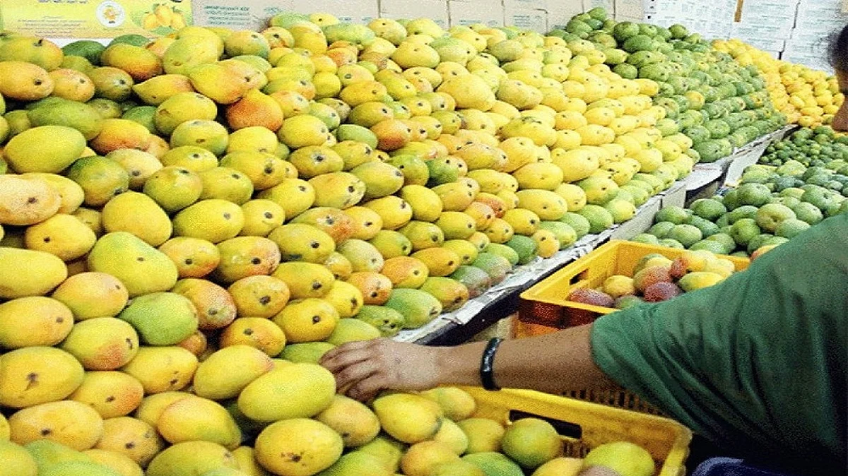 फोटो: सोशल मीडिया