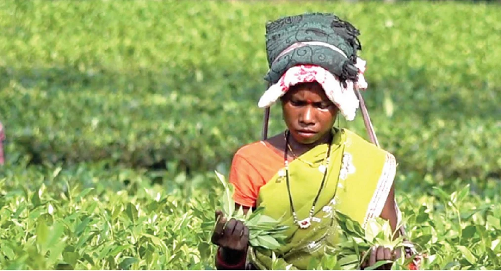 स्थानीय लोगों को जोड़े बिना जैव संसाधनों का संरक्षण दूर की कौड़ी, सारी नीतियां कागजों तक सीमित रह जाएंगी