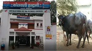 उत्तराखंड: हल्द्वानी में भैंस चोरी को लेकर बवाल, सीएम धामी के आदेश पर दर्ज हुई एफआईआर