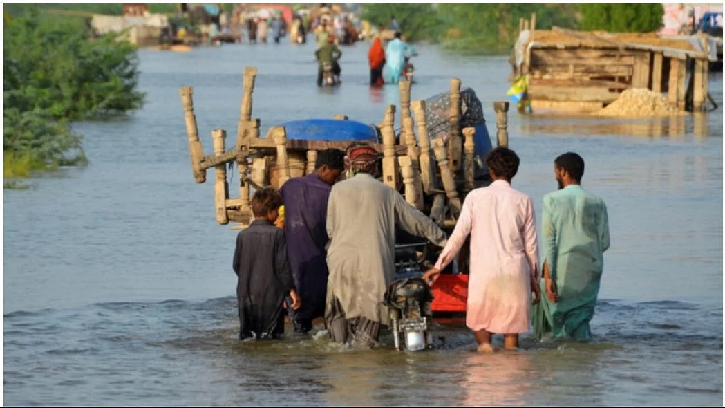 फोटो: सोशल मीडिया