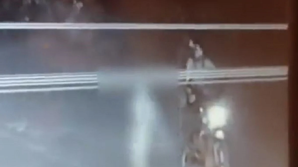 फोटो: सोशल मीडिया