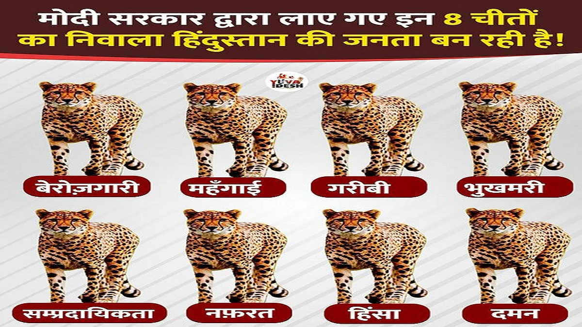 फोटो: @srinivasiyc