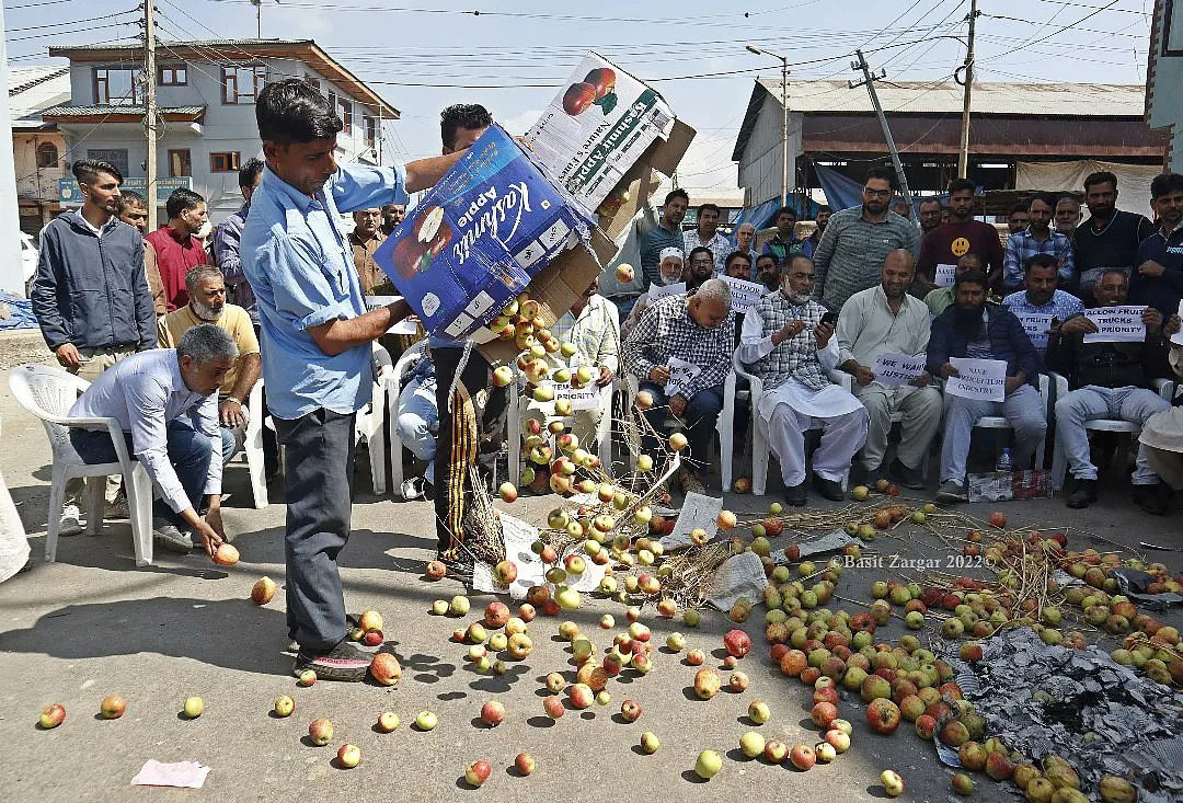 कश्मीर: बंपर फसल के बावजूद सेब उत्पादकों को हो रहा है भारी नुकसान, अपने ही हाथों फसल फेंकने को मजबूर 