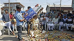 कश्मीर: बंपर फसल के बावजूद सेब उत्पादकों को हो रहा है भारी नुकसान, अपने ही हाथों फसल फेंकने को मजबूर