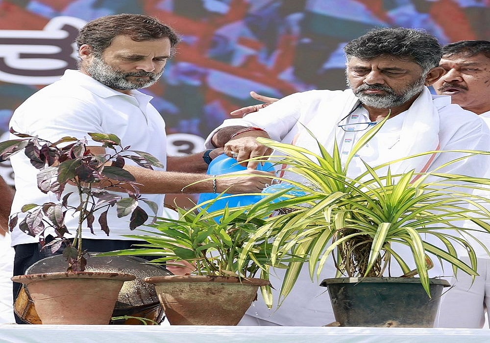 BJP-RSS की नफरत-हिंसा फैलाने वाली विचारधारा के खिलाफ खड़े होना है 'भारत जोड़ो यात्रा' का मकसद- राहुल गांधी