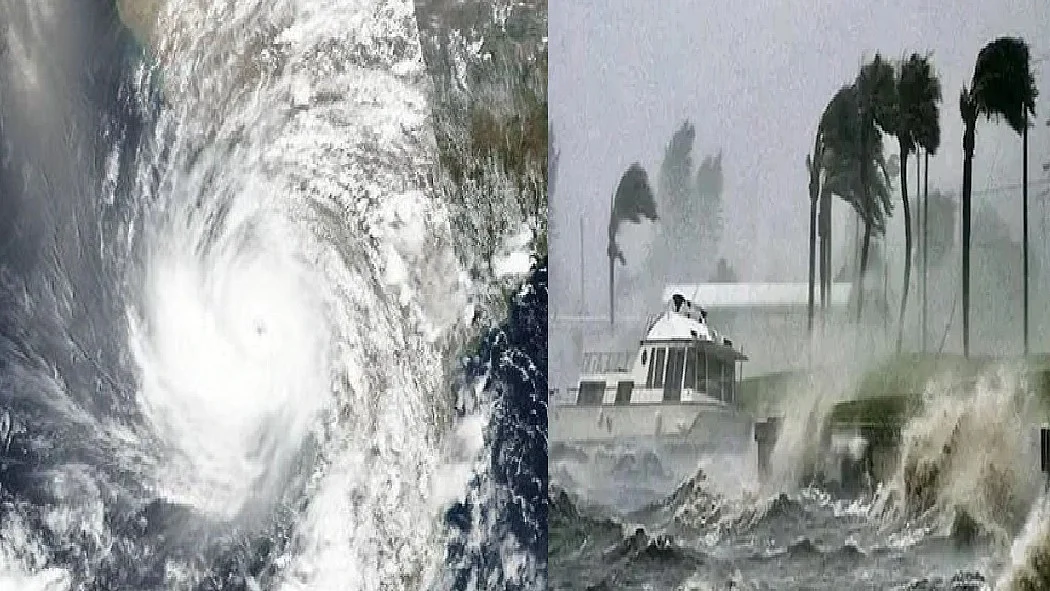 फोटो: सोशल मीडिया