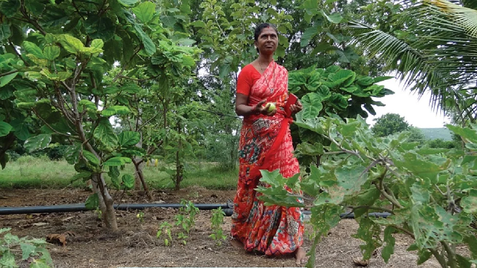 फोटोः जयदीप हार्दीकर