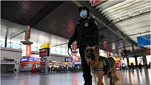 गुप्त चीनी पुलिस थानों के खुलासे पर यूरोप और अमेरिका में हड़कंप, कई सरकारों ने शुरू की जांच