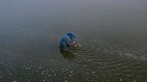 प्रयागराज: अब गंगा में प्रदूषण फैलाना पड़ेगा महंगा! एक भी नाले का पानी सीधे नदी में गिरा तो दर्ज होगी FIR, होगी जेल!