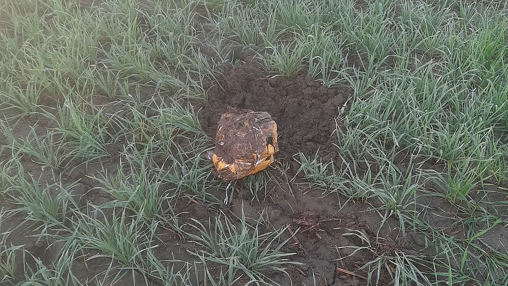 फोटोः IANS