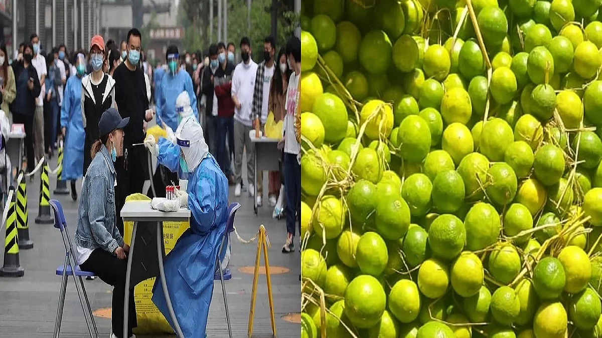 फोटो: सोशल मीडिया