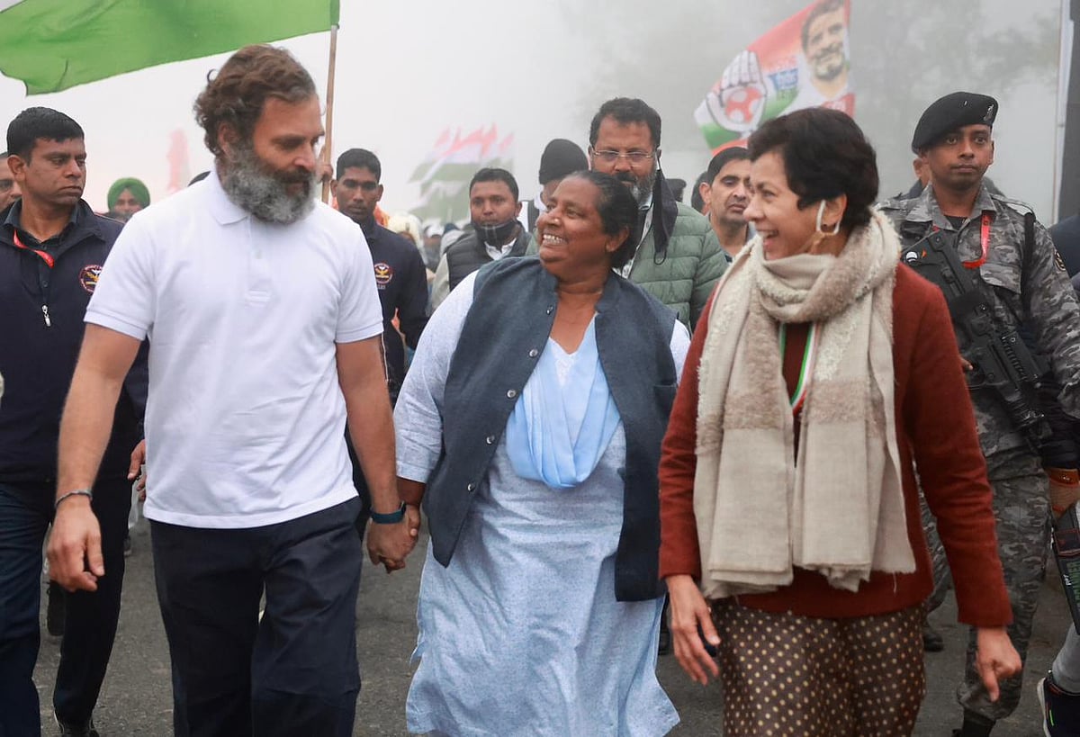 भारत जोड़ो यात्रा: कड़ाके की सर्दी के बीच पदयात्रा को लेकर लोगों में जबरदस्त उत्साह, शर्ट निकालकर डांस करते आए नजर