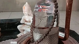 जोशीमठ भू धंसाव: शंकराचार्य मठ में दरारें, खंडित हुआ शिवलिंग, शिव मंदिर धंसा, खौफ का मंजर