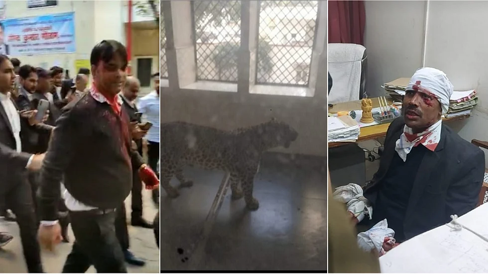 गाजियाबाद कोर्ट में घुसा तेंदुआ और उसके हमले में घायल वकील