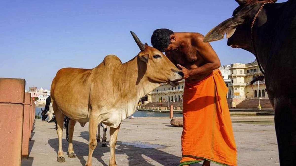 फोटो: सोशल मीडिया