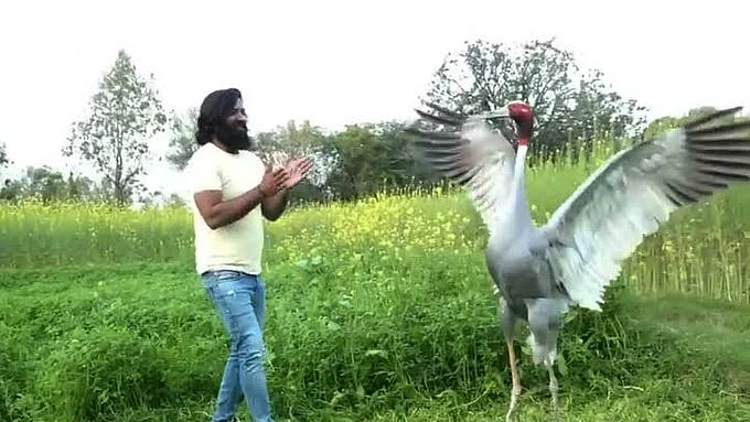 फोटो: सोशल मीडिया