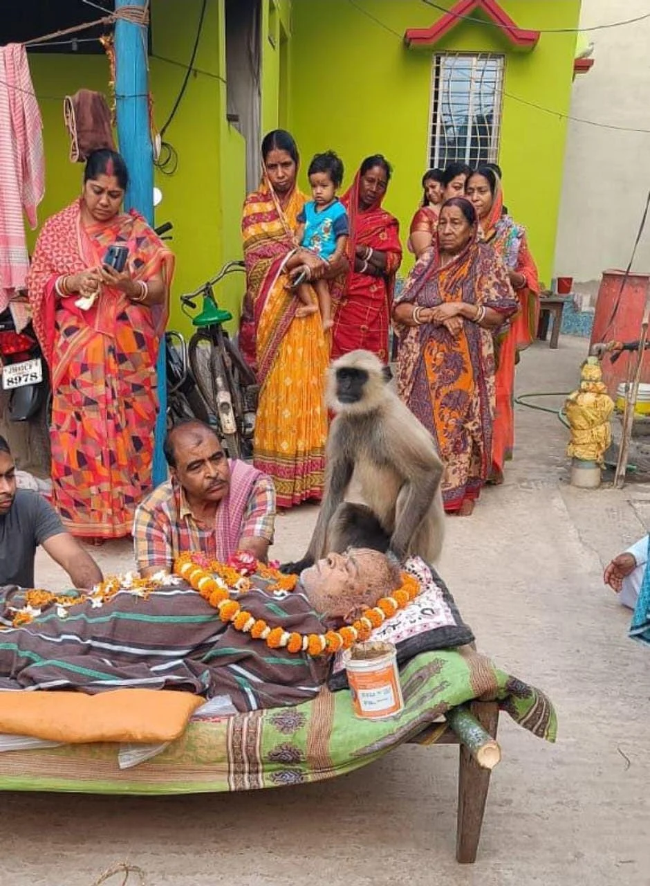 फोटो: IANS