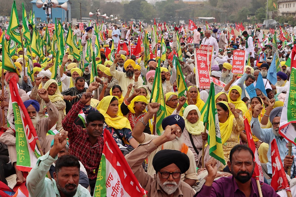 फोटो: विपिन