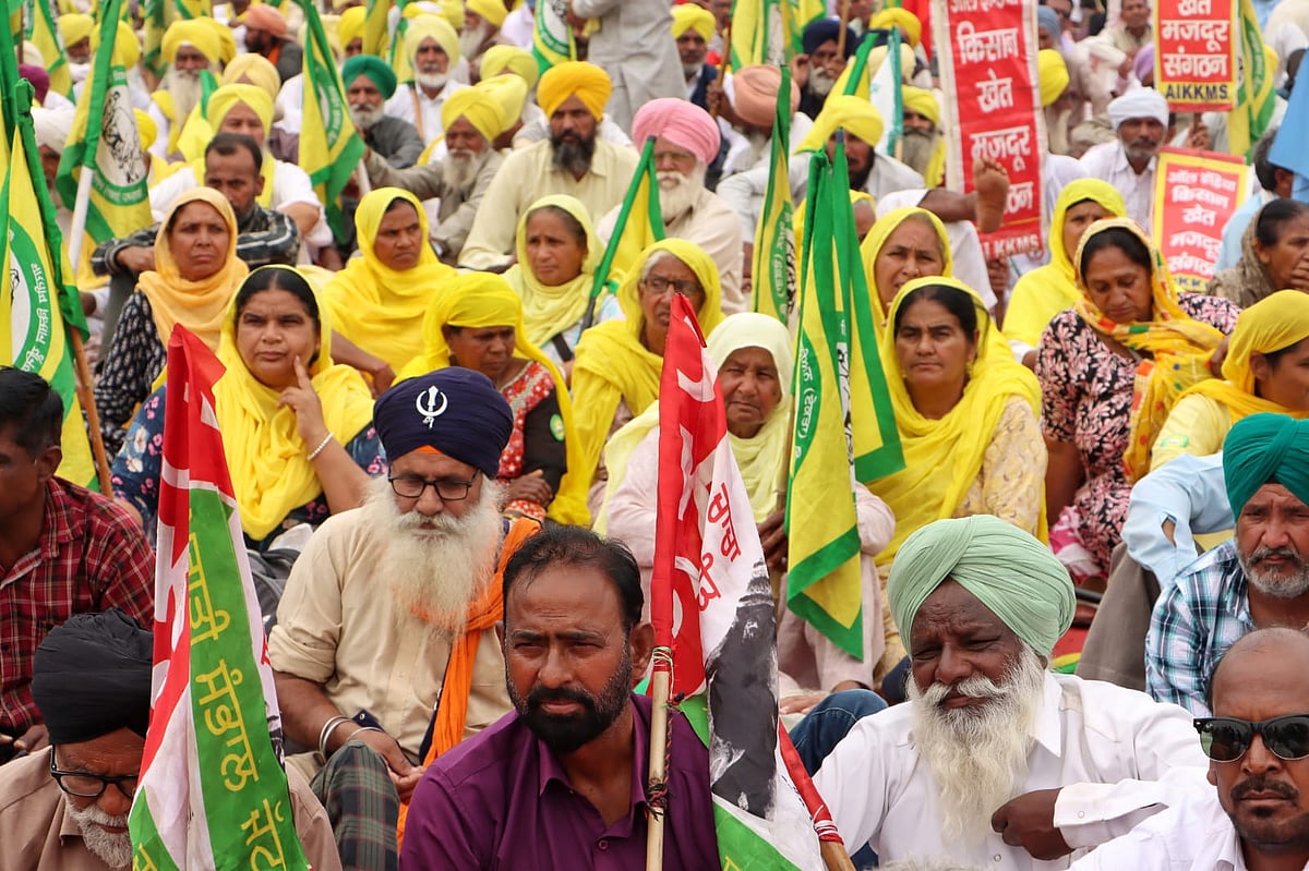 फोटो: विपिन