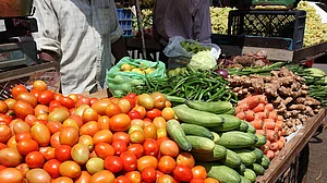 आसमान पर सब्जियों के दाम, फिर भी किसानों को नहीं मिल रहा उचित दाम, अपने हाथों से फसलें बर्बाद करने को हुए मजबूर