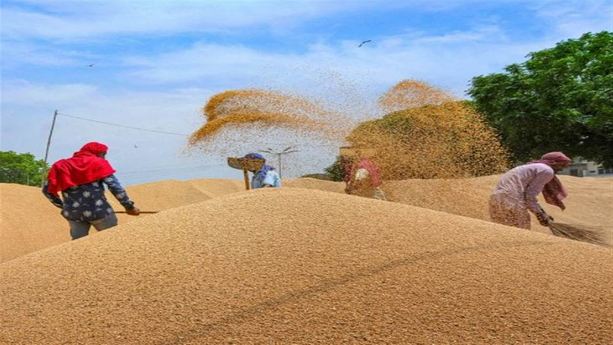 फोटो: सोशल मीडिया