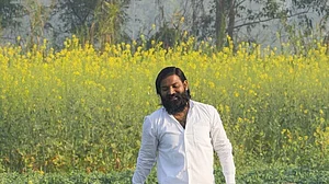 यूपी: आरिफ का लापता सारस एक गांव में मिला, अखिलेश बोले- प्रेम से बड़ी कोई सत्ता नहीं, समय रहते भाजपाई समझ लेते तो...