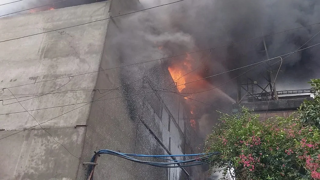 फोटो: सोशल मीडिया