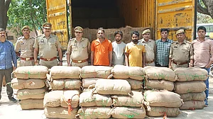 उत्तर प्रदेश: नोएडा में पकड़ी गई सबसे बड़ी गांजे की खेप, 700 किलो गांजा बरामद, 5 गिरफ्तार