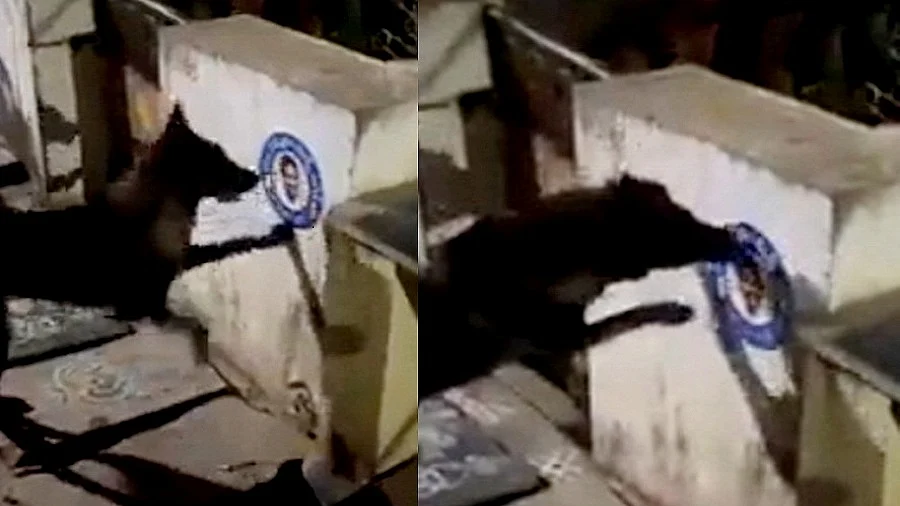 फोटोः IANS