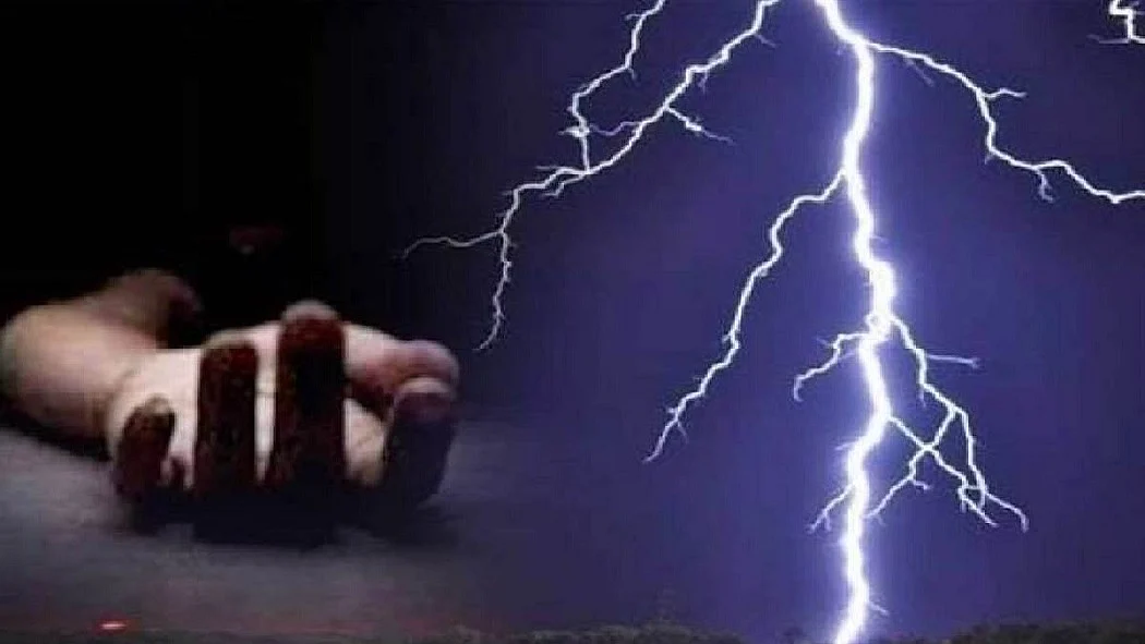 फोटो: सोशल मीडिया