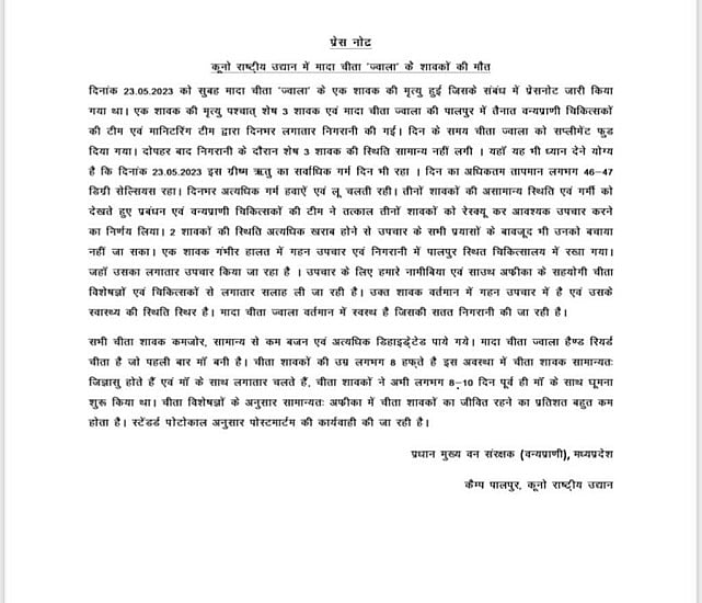 कूनो नेशनल पार्क में और दो चीता शावकों की मौत, एक की हालत गंभीर, दो माह में 6 मौतों से प्रोजेक्ट पर उठे सवाल