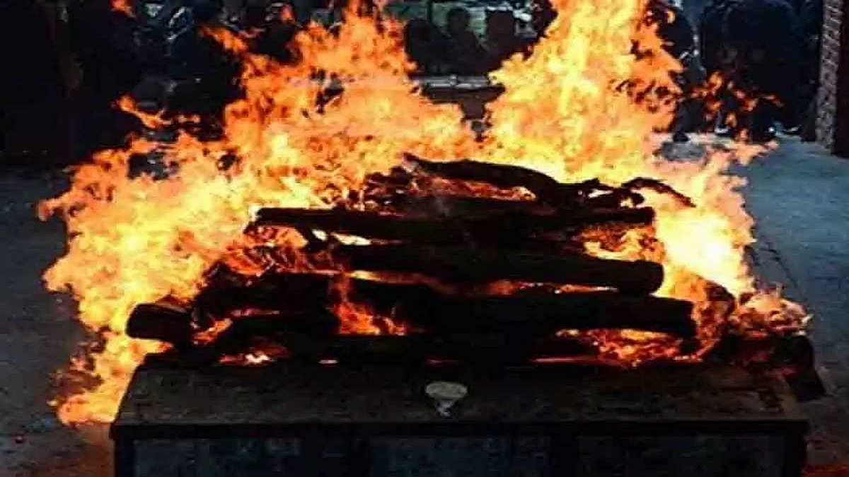 फोटो: सोशल मीडिया