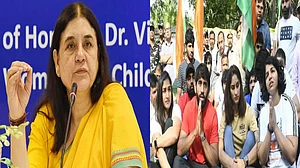 फोटो: सोशल मीडिया