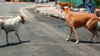 फोटो: सोशल मीडिया