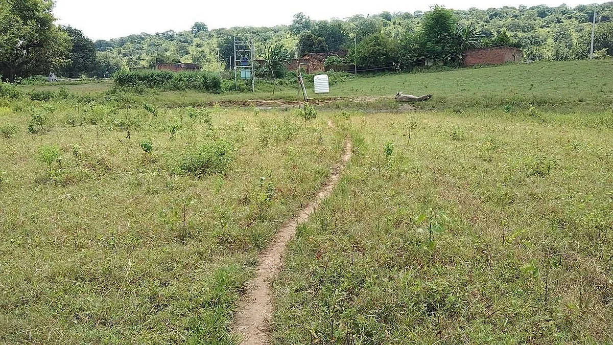 फोटो: सोशल मीडिया