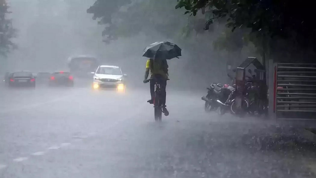 फोटो: सोशल मीडिया