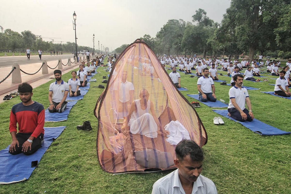 फोटो: विपिन