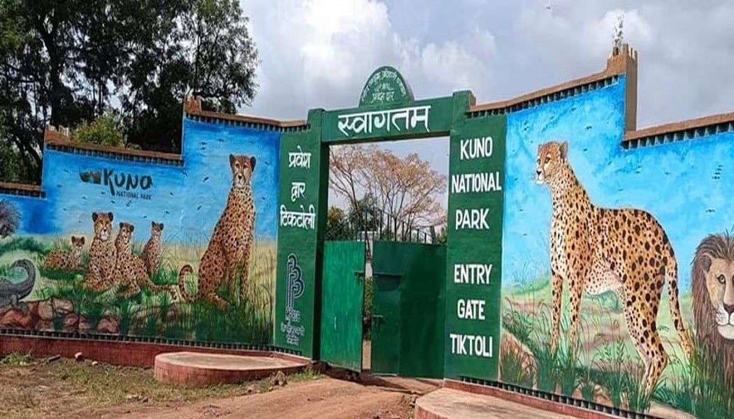 फोटो: सोशल मीडिया