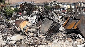 400 लोग जिंदा जल गए? हवाई के जंगल में लगी भीषण आग, सैकड़ों लोग लापता, 115 लोगों की हो चुकी है मौत