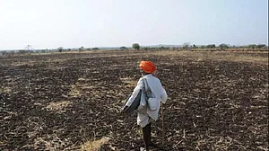 बदहाल हैं देश के अन्नदाता, चुनाव में वोट के लिए किसानों को दिया गया झांसा!