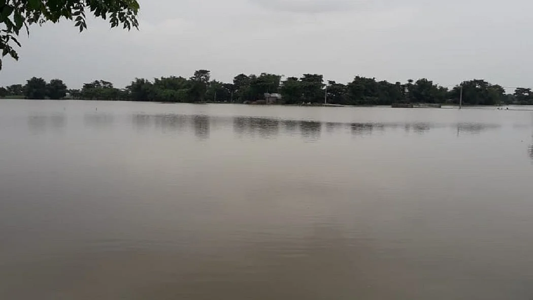 फोटो: सोशल मीडिया